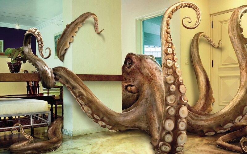 octopus in a living room