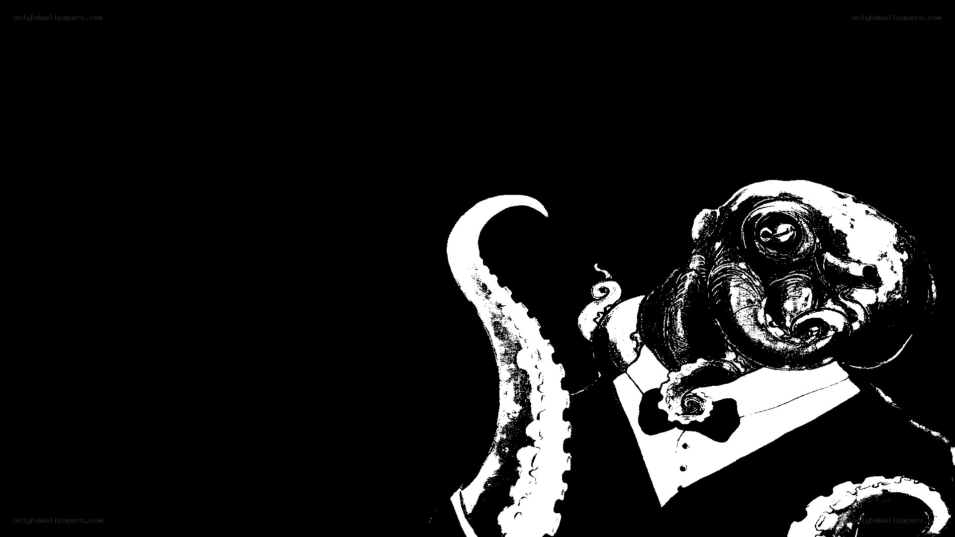 octopus in a tuxedo