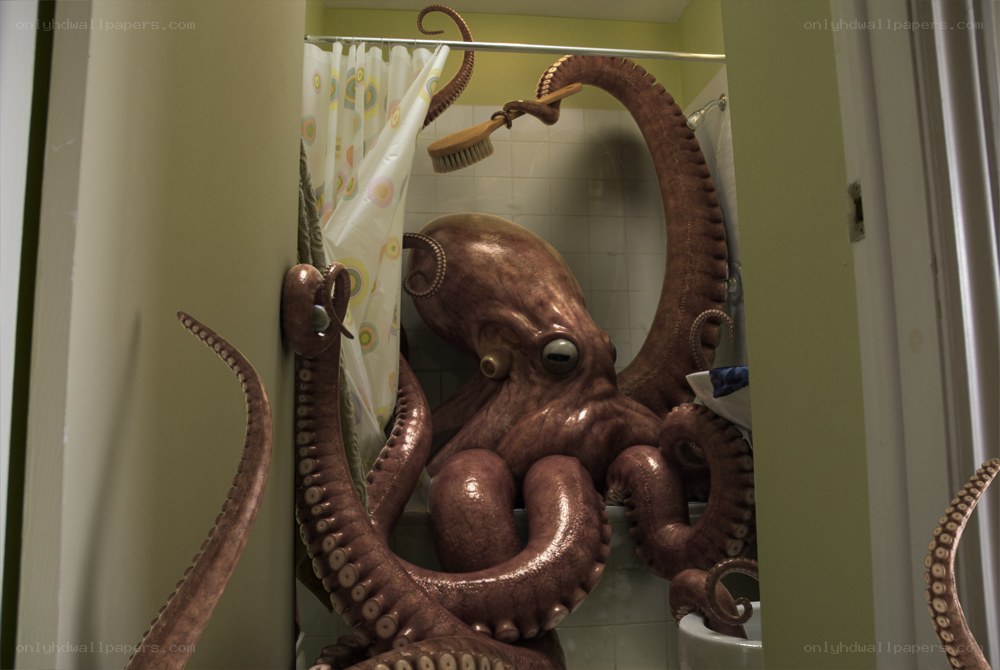 octopus in bathroom shower