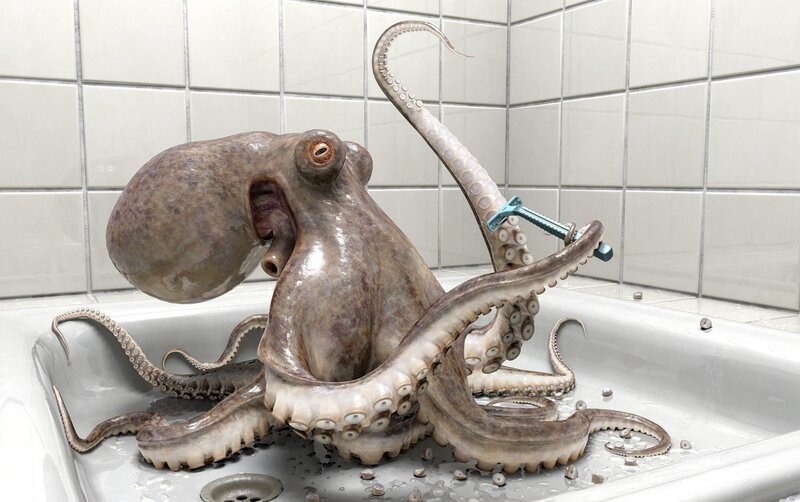 octopus in bathroom sink