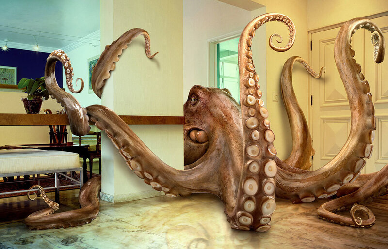 octopus in living room