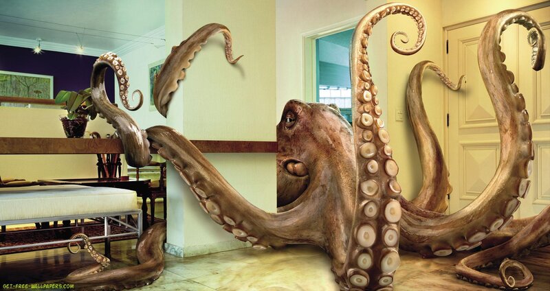 octopus in living room