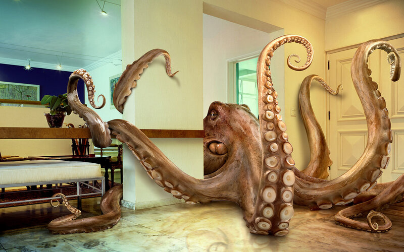 octopus in living room