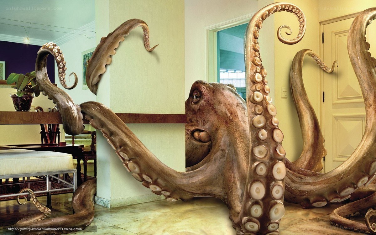 octopus in living room