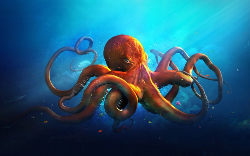 Octopus in Ocean — Blue
