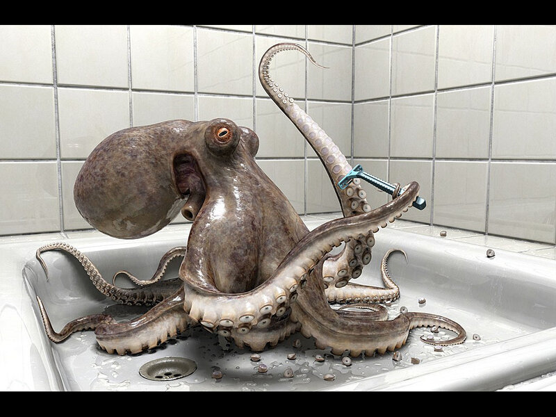 Octopus in Sink