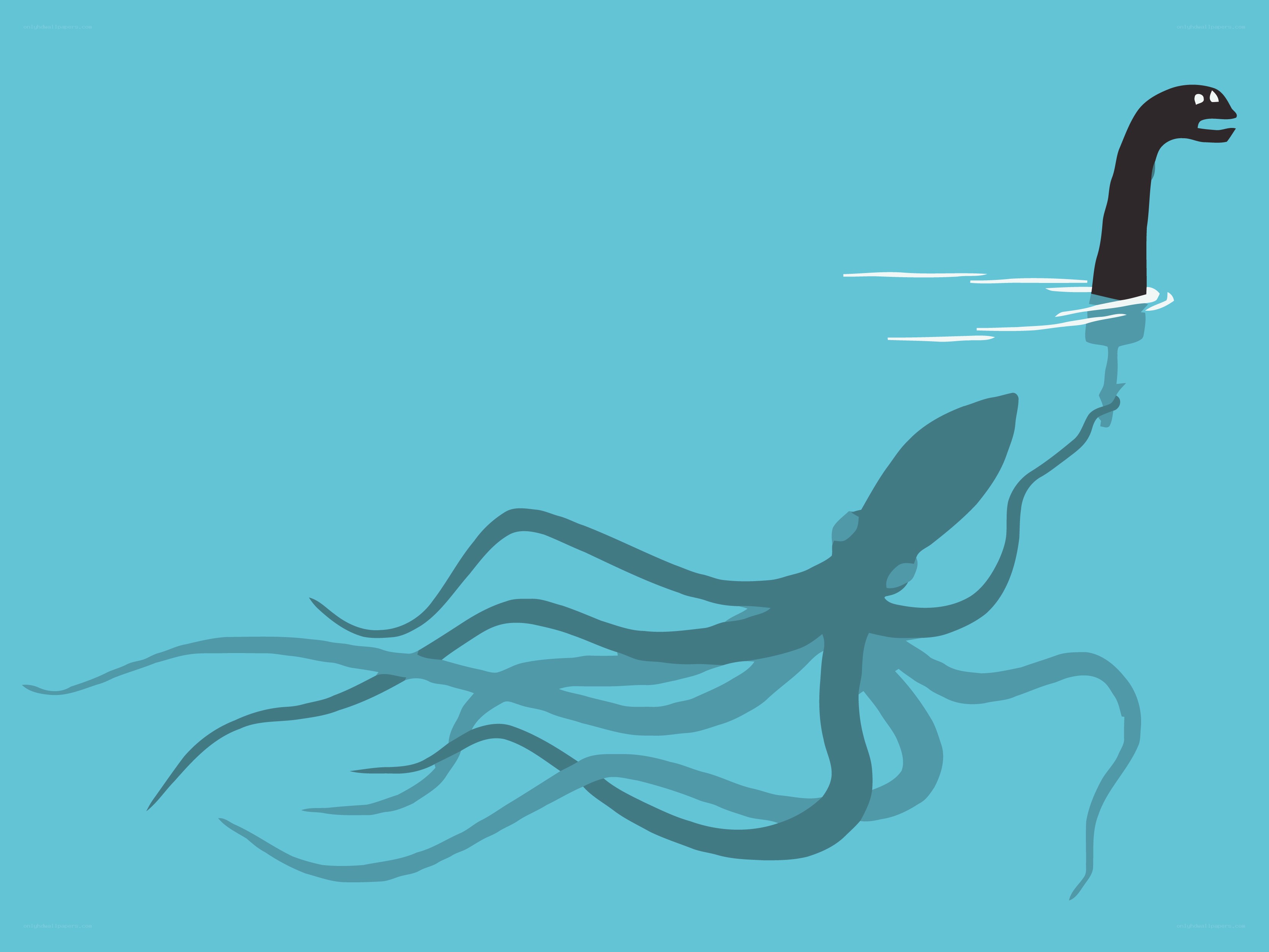 octopus in the water