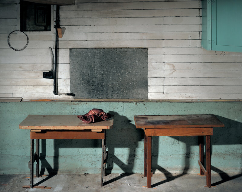 Octopus on a table in an old shed