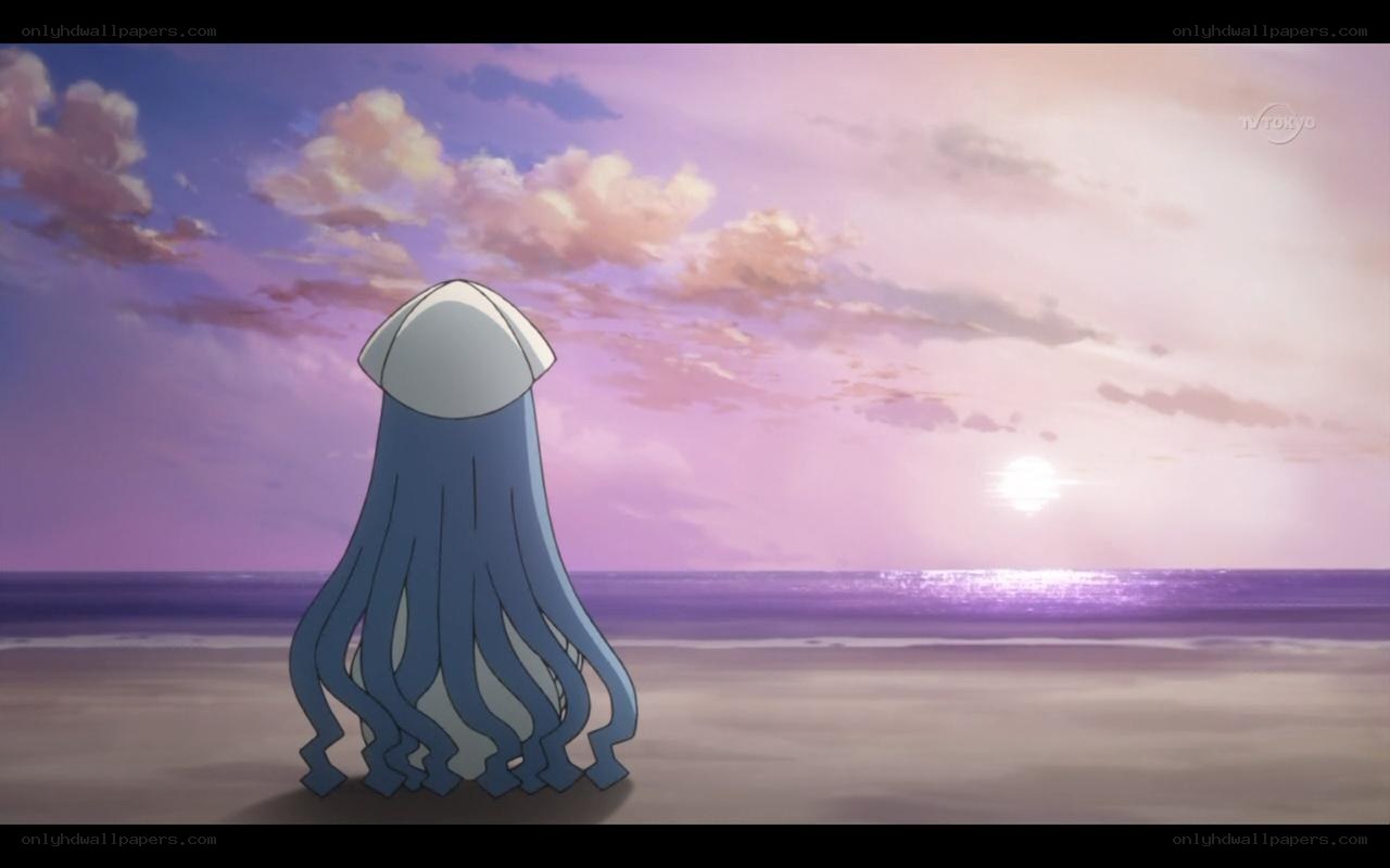 octopus on the beach at sunset