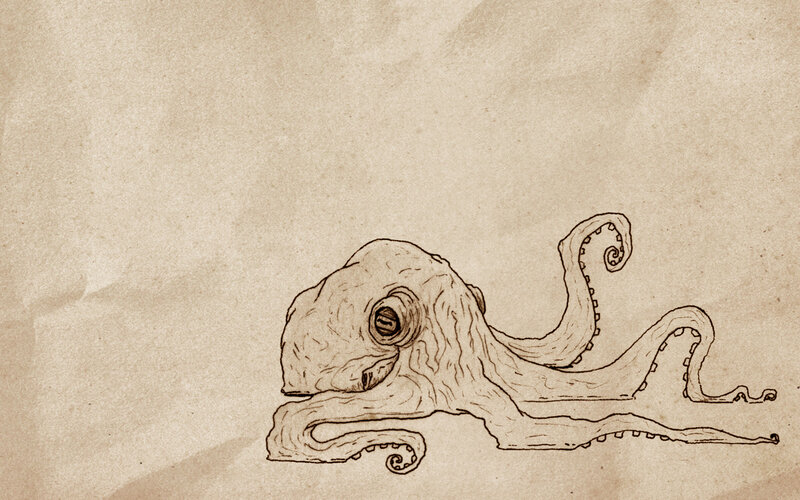 octopus sketch on aged paper