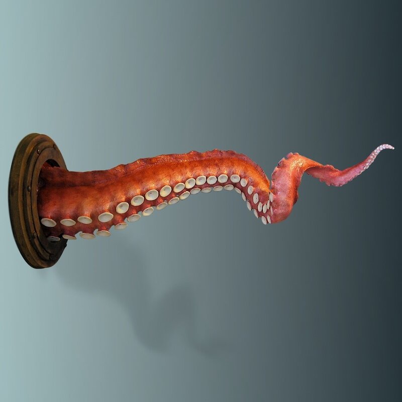 octopus tentacle from ship