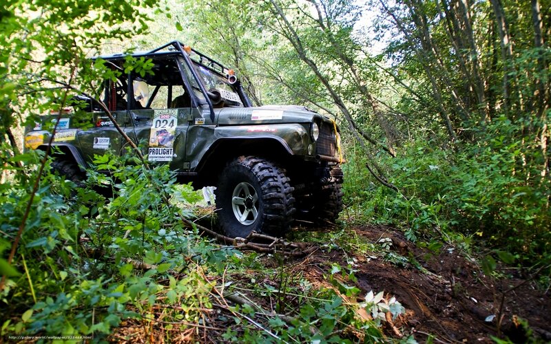 Off-road vehicle in forest