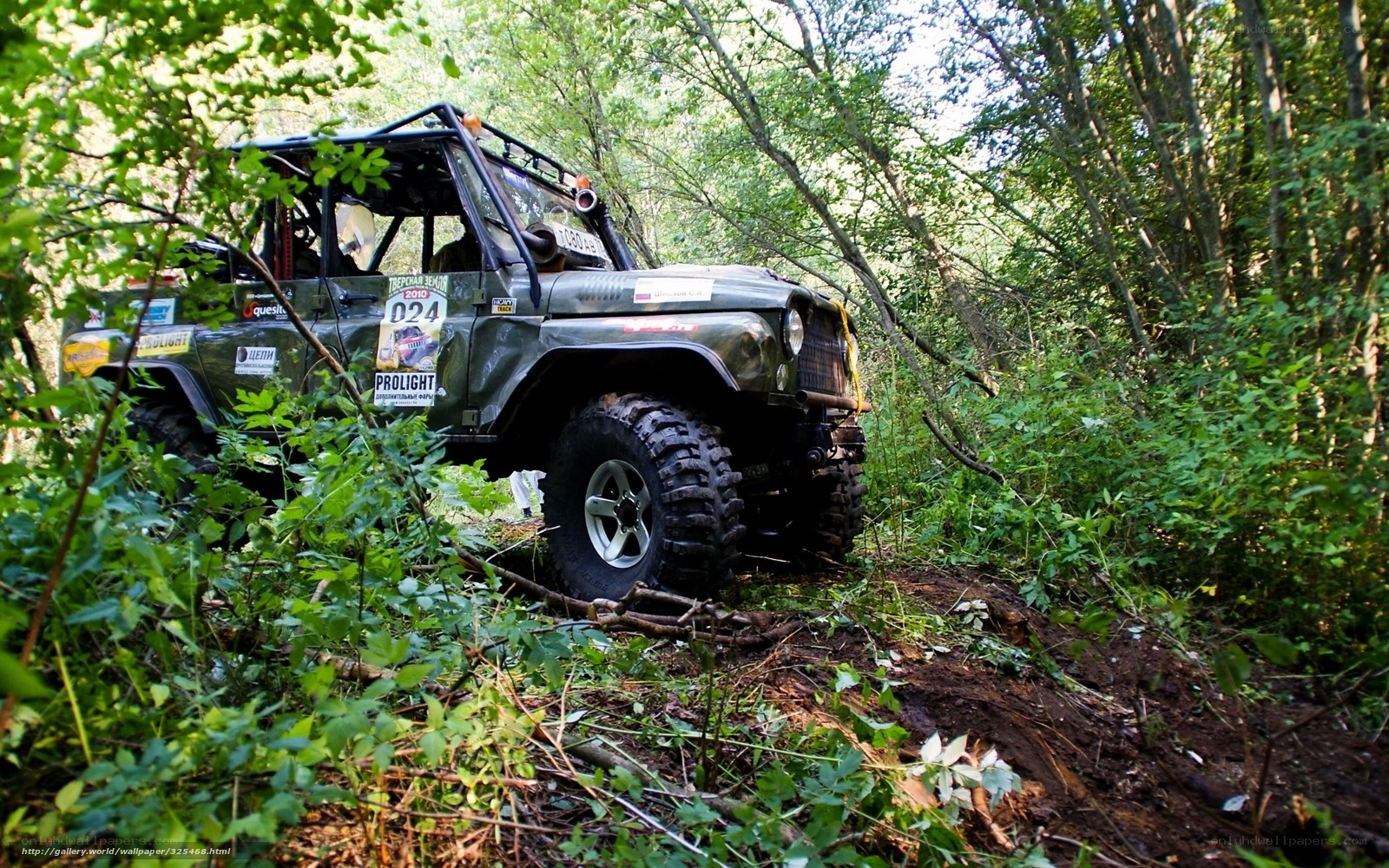 Off-road vehicle in forest