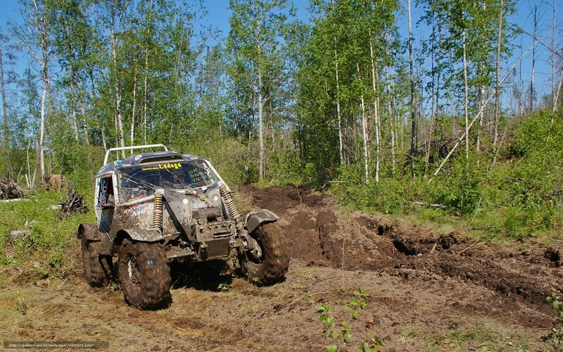 Off-road vehicle in muddy forest
