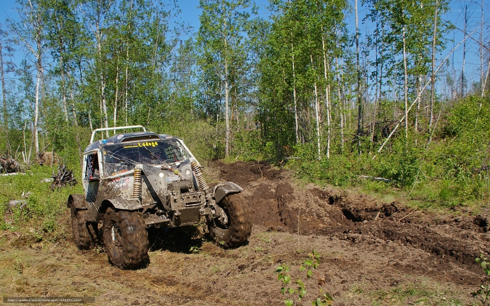 Off-road vehicle in muddy forest