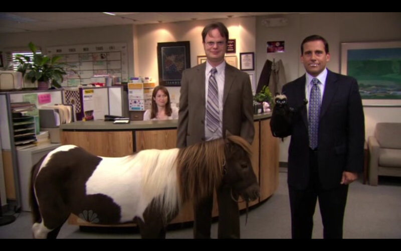 Office with a pony