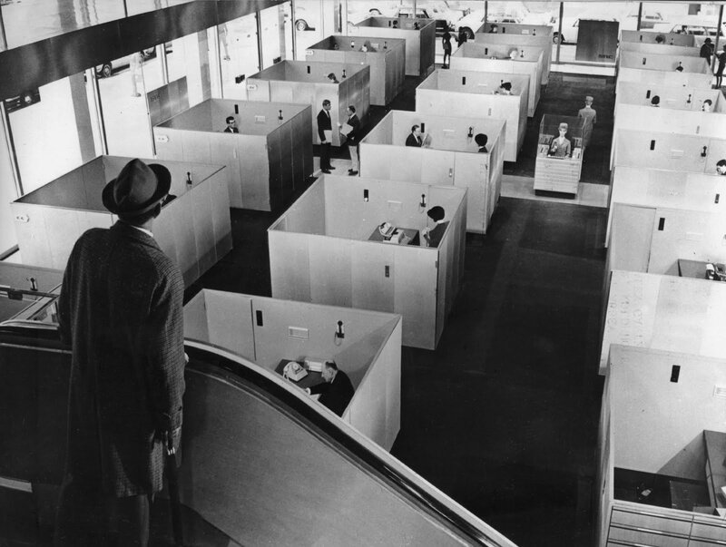 Office Workers in Cubicles