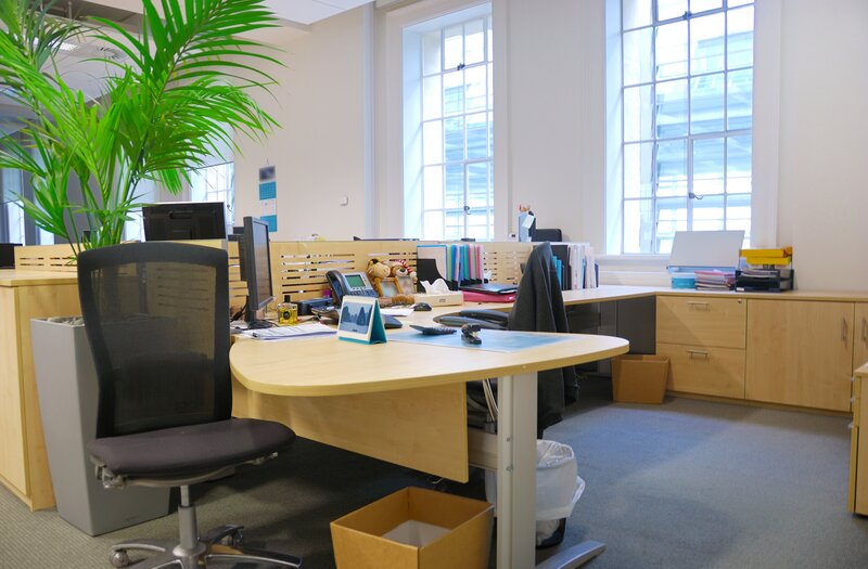 Office workspace with plant