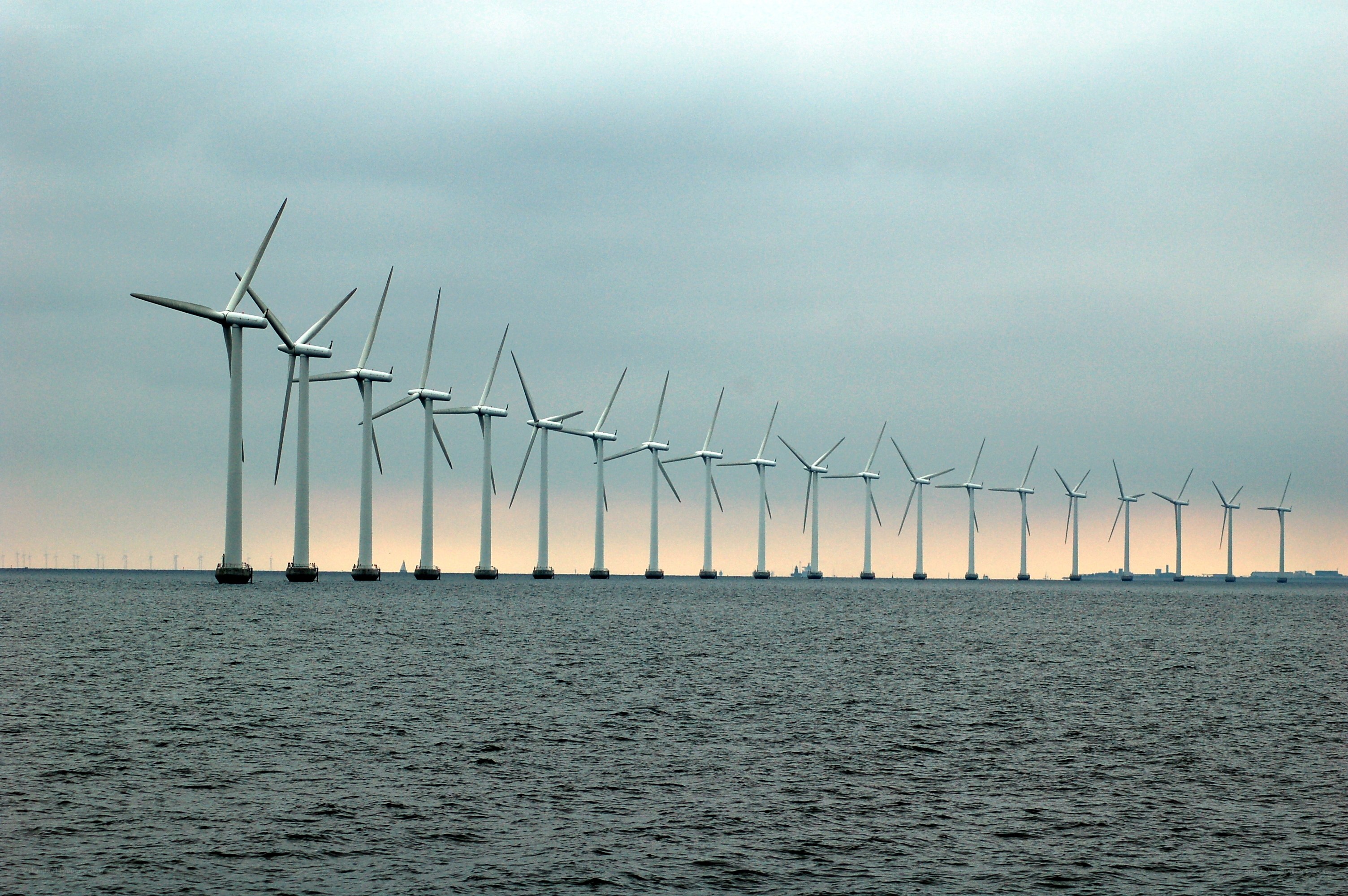 Offshore wind farm