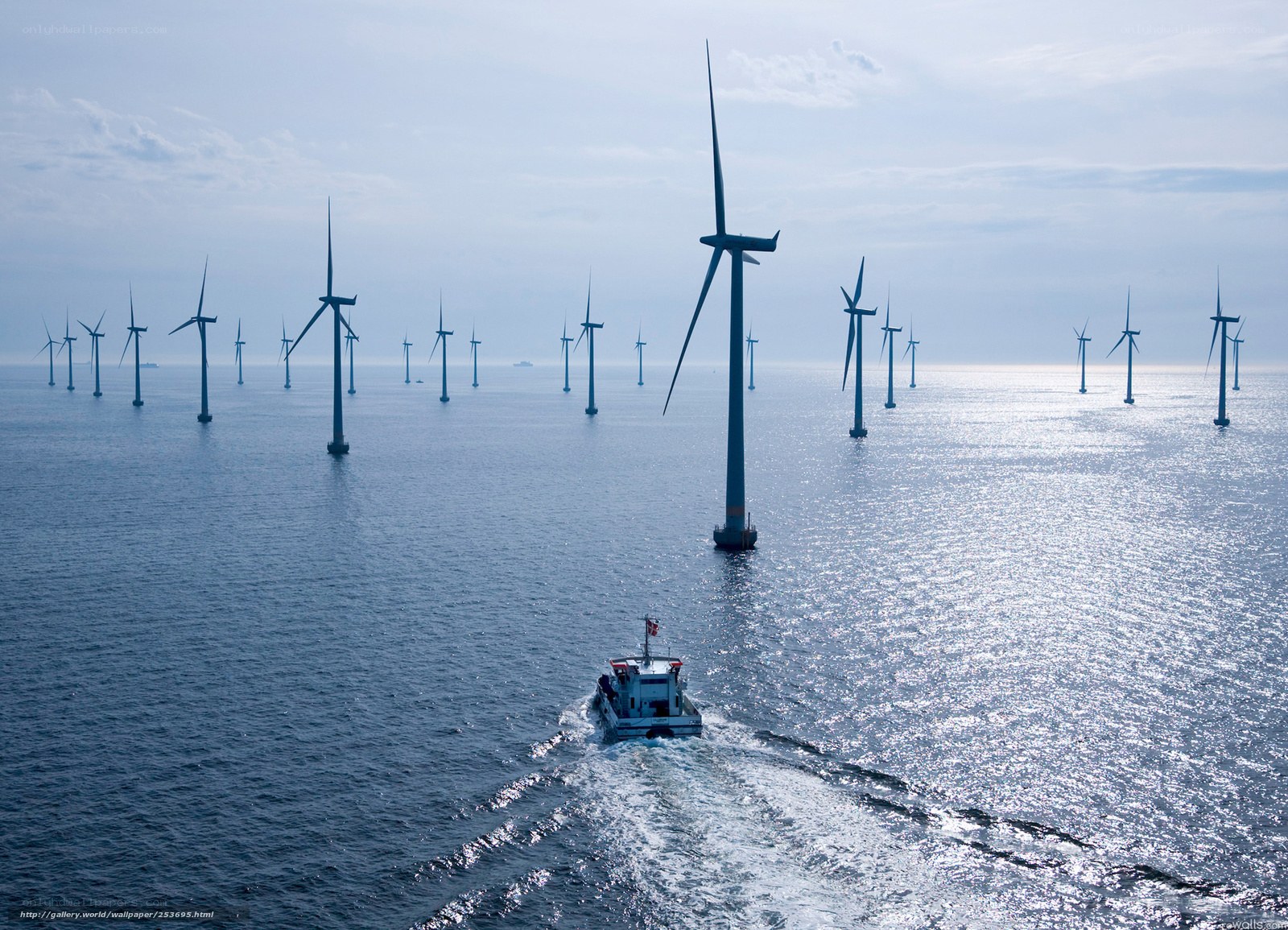 Offshore wind farm with boat