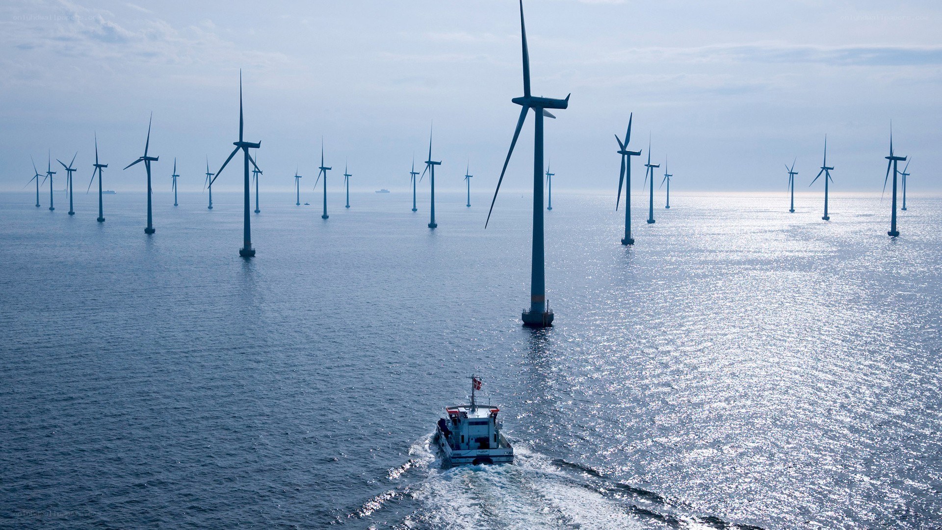 Offshore wind farm with boat