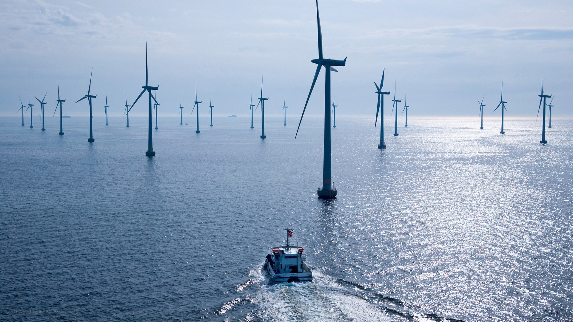 Offshore wind farm with boat