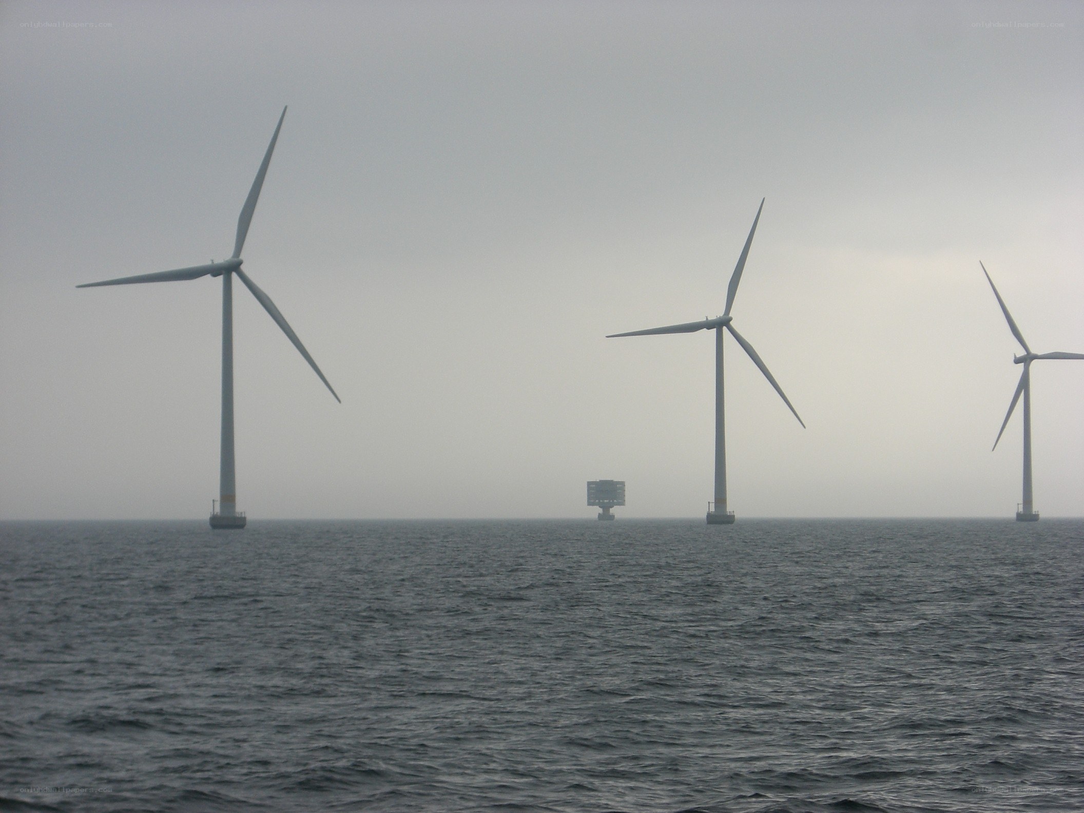 Offshore wind turbines at sea