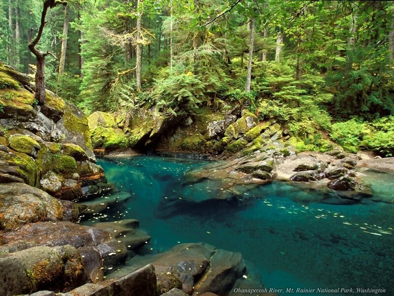 Ohanapcosh River in Washington