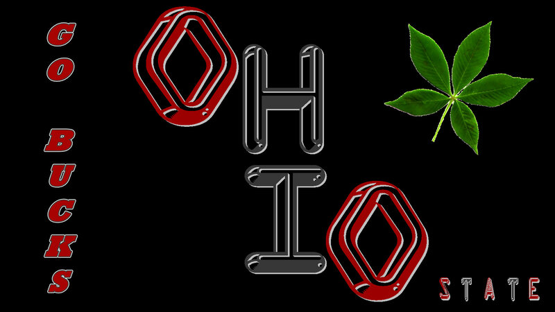 Ohio State Buckeyes Logo — Black, Proud