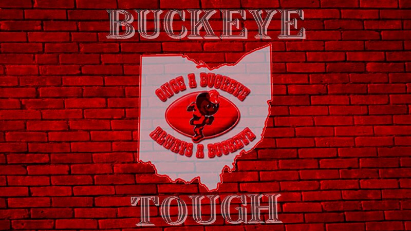 Ohio State Logo on Brick Wall