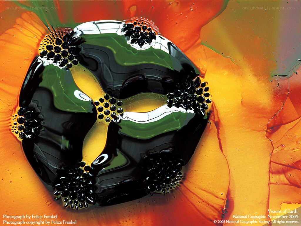Oil and water droplets