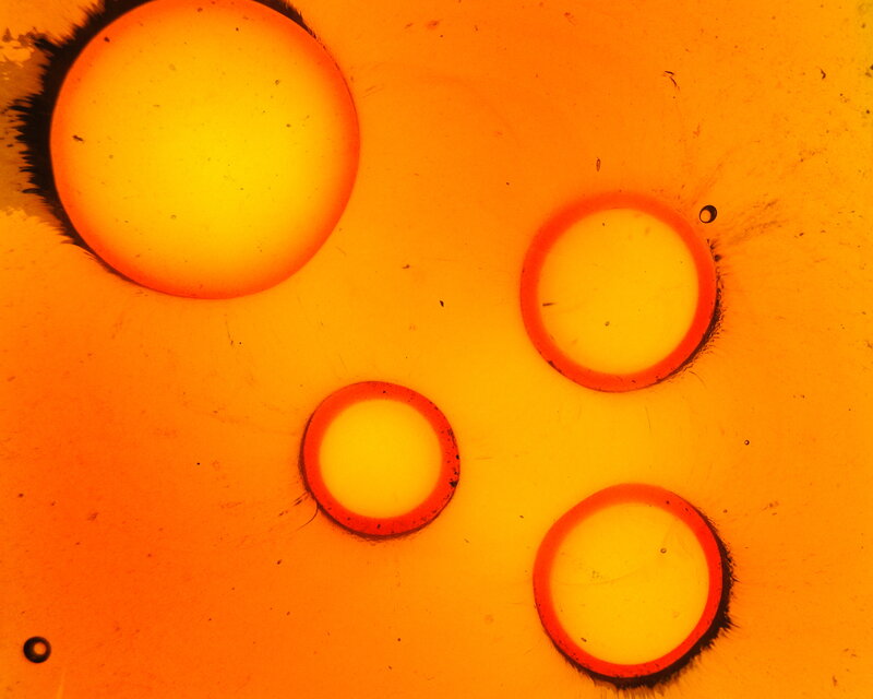 Oil Bubbles on Surface