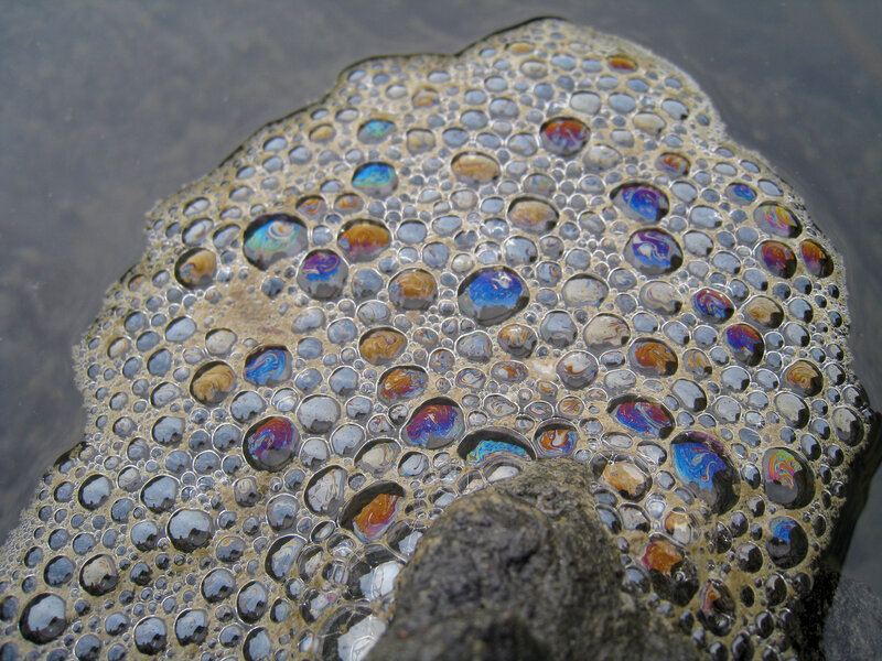 oil slick bubbles on water