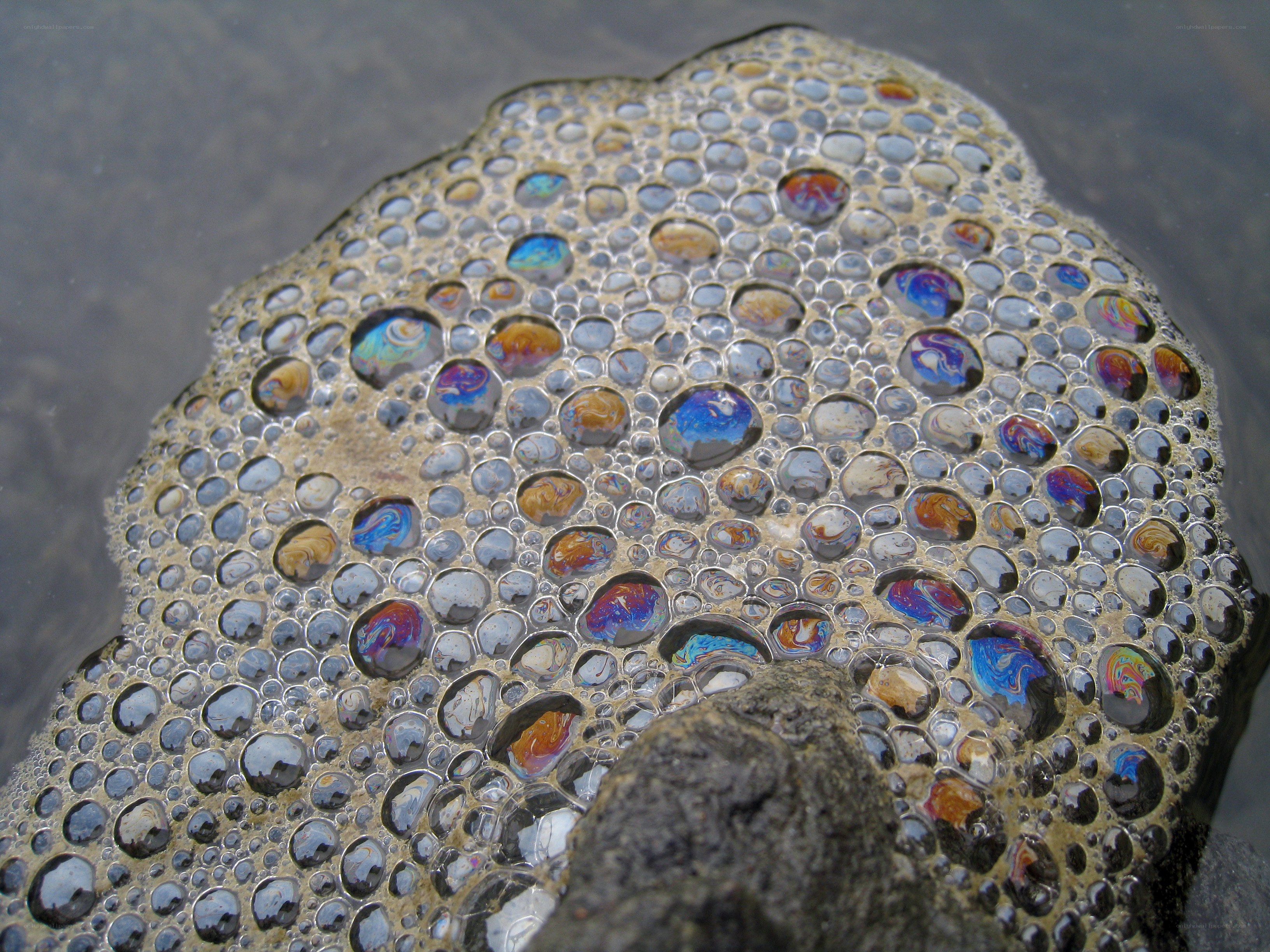 oil slick bubbles on water
