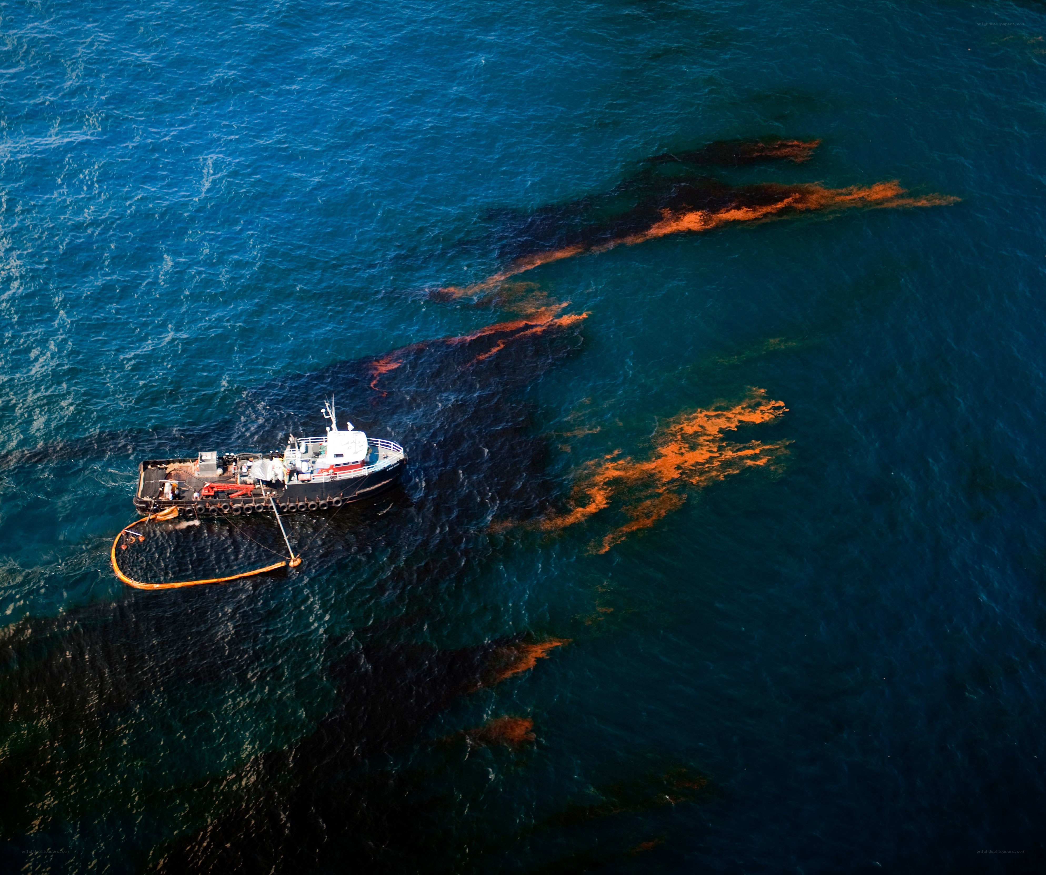 Oil spill cleanup operation