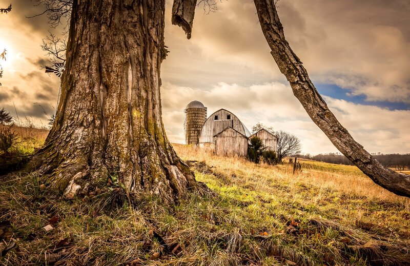 Old Barn and Silo — Brown