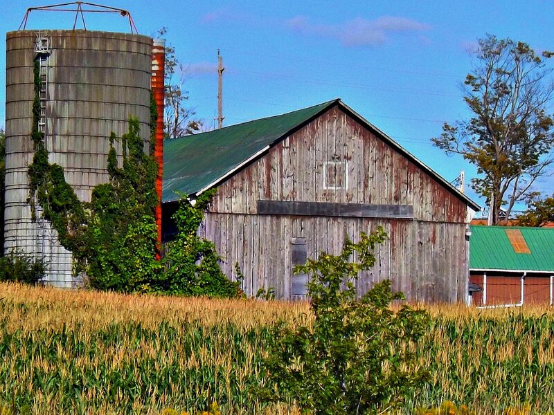 Old Barn and Silo — Green