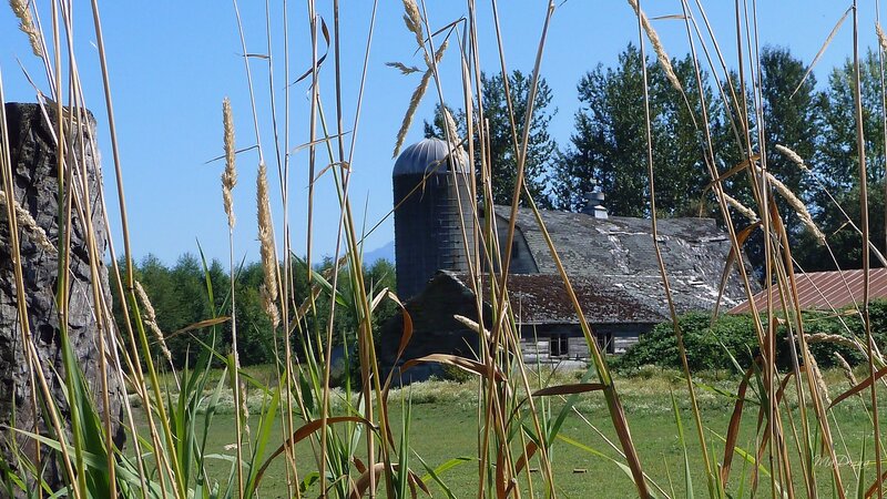 Old Barn and Silo