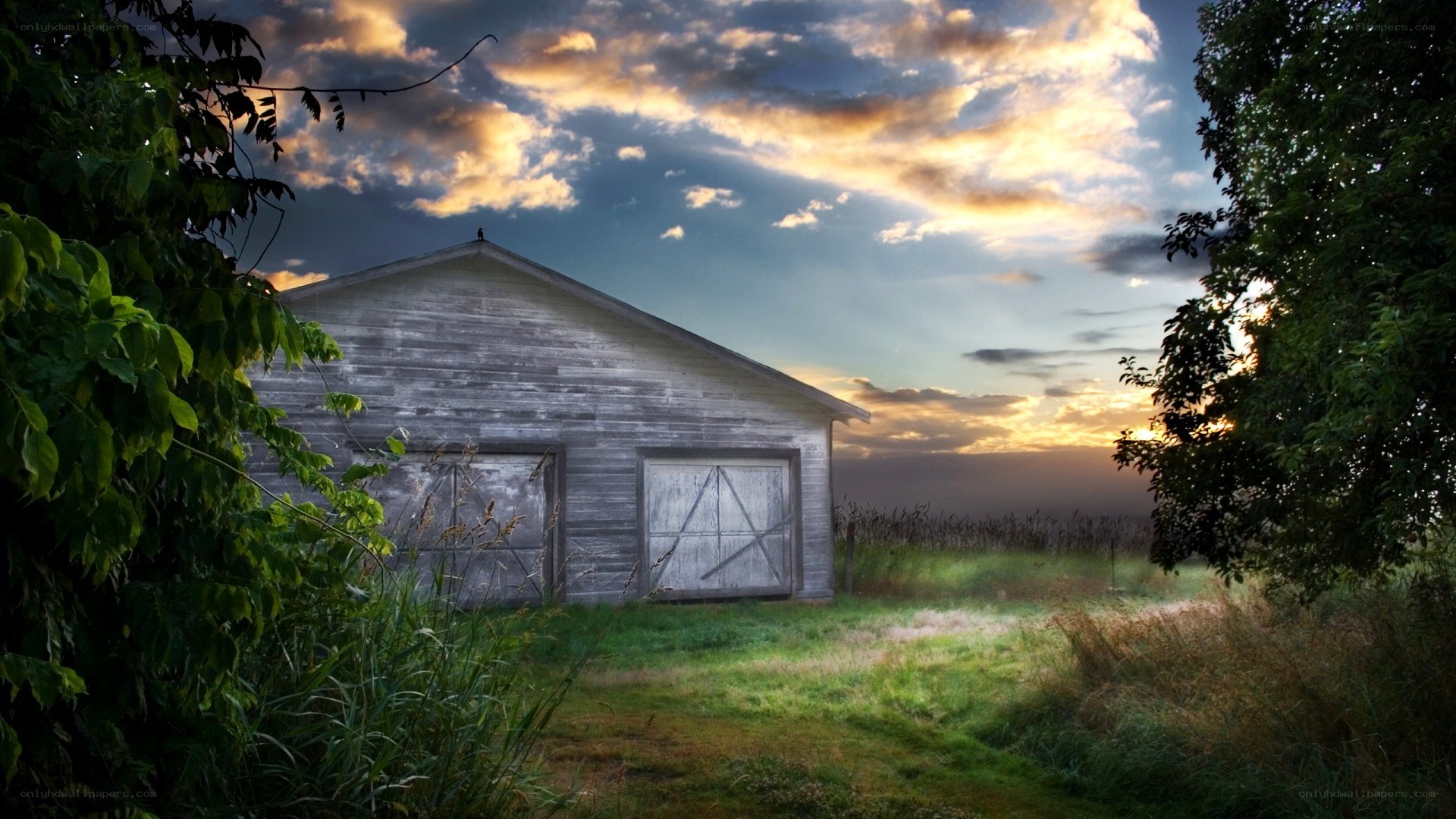 Old barn at sunset