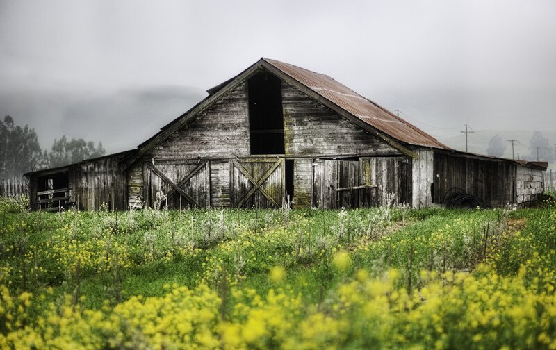 Old barn in a field