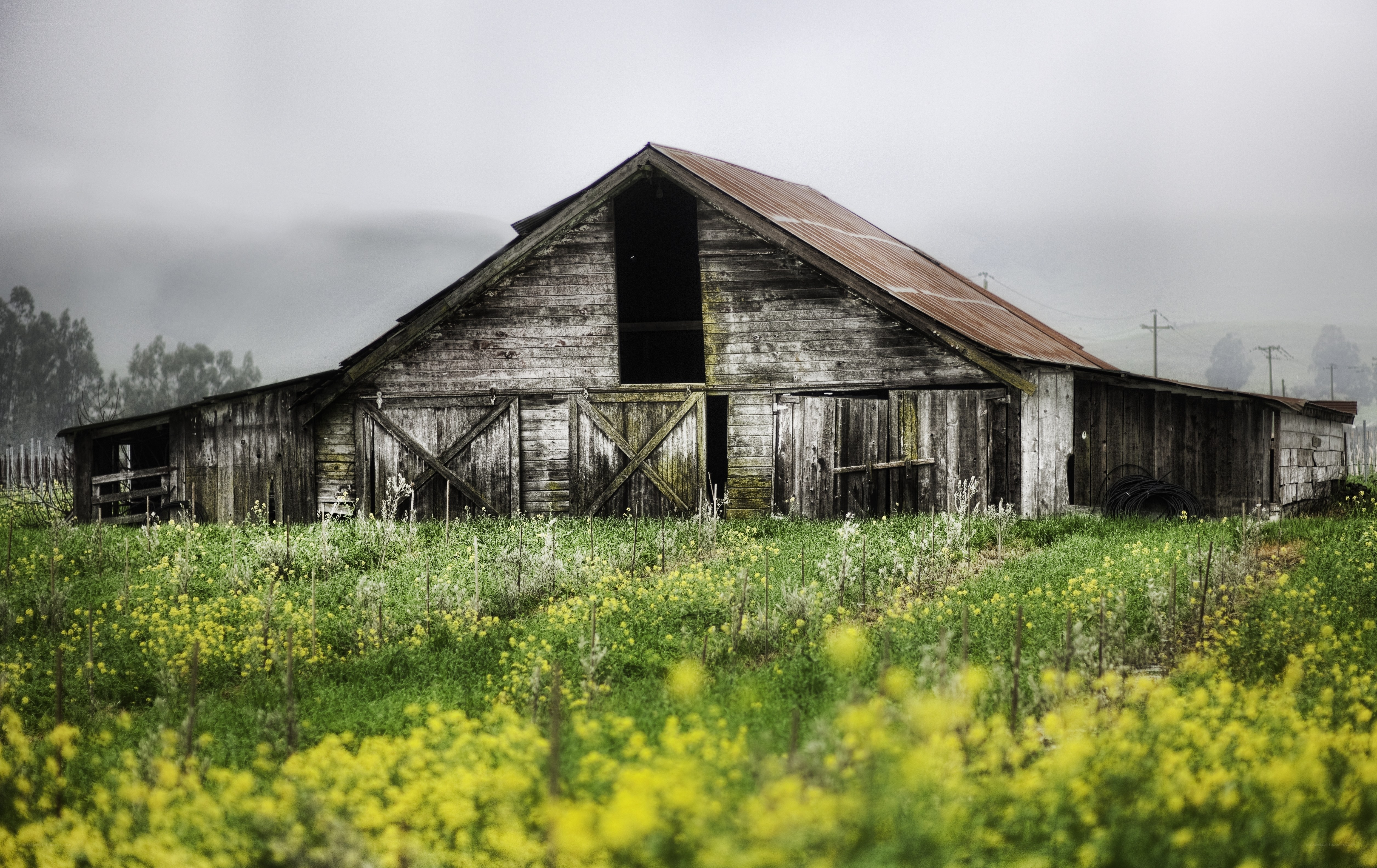 Old barn in a field