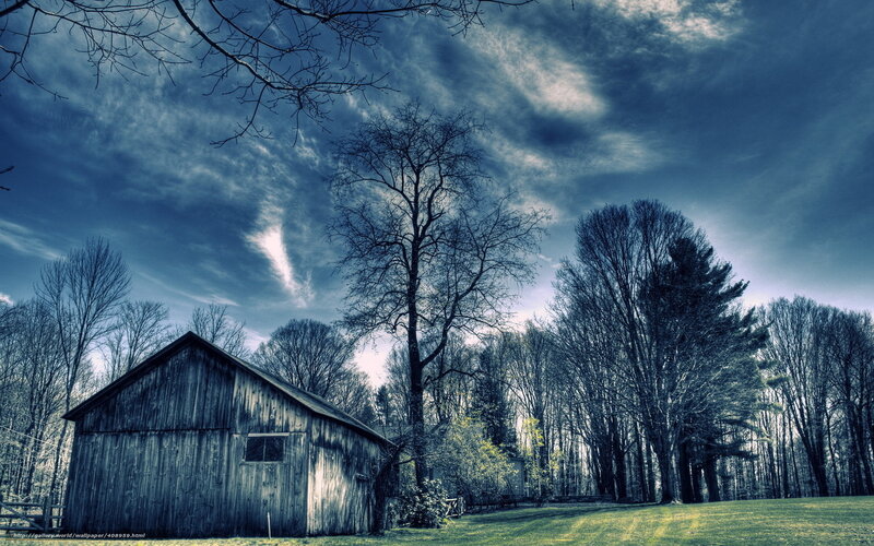 Old barn in a forest