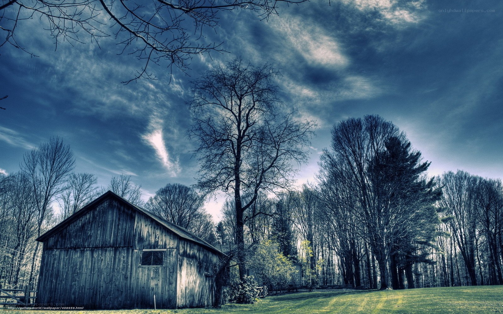 Old barn in a forest