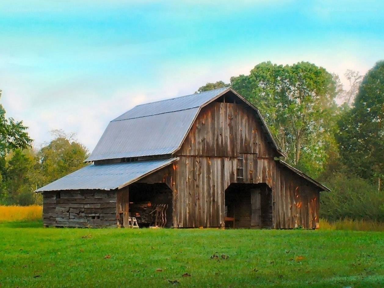Old barn in a green field
