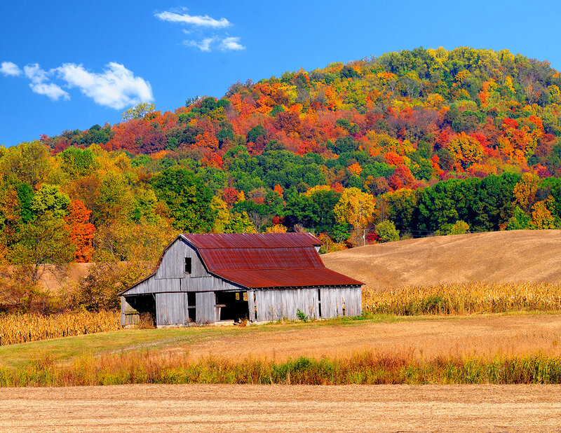 Old Barn in Autumn Field