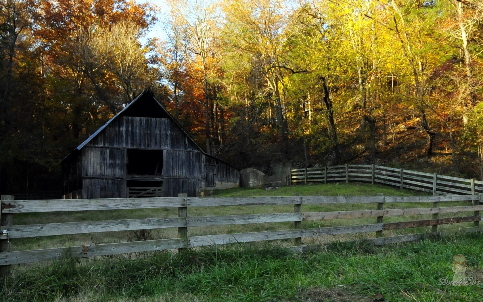 Old barn in autumn forest