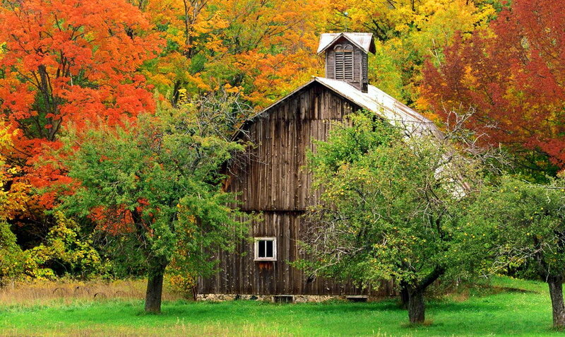 Old Barn in Autumn — Green, Serene, Photograph