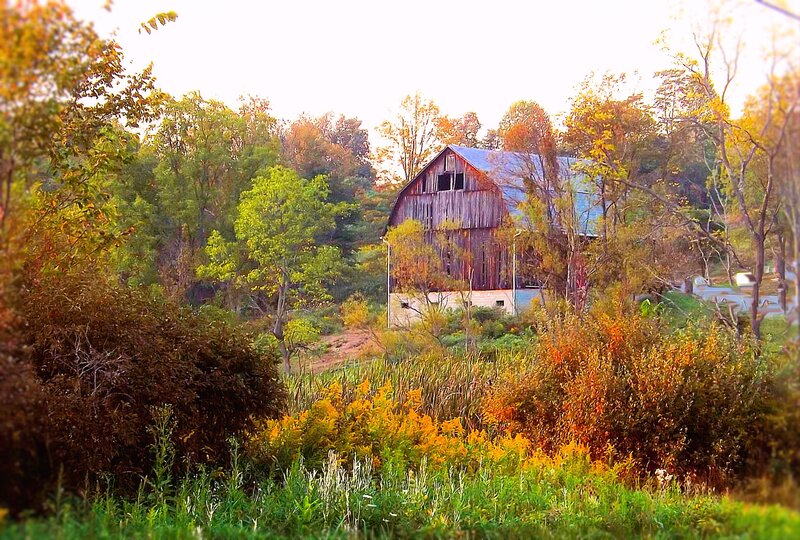 Old Barn in Autumn — Green, Serene