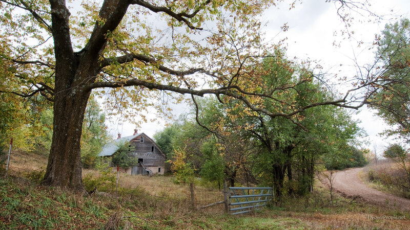 Old Barn in Autumn — Green