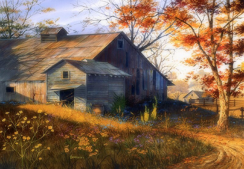 Old Barn in Autumn — Orange, Serene
